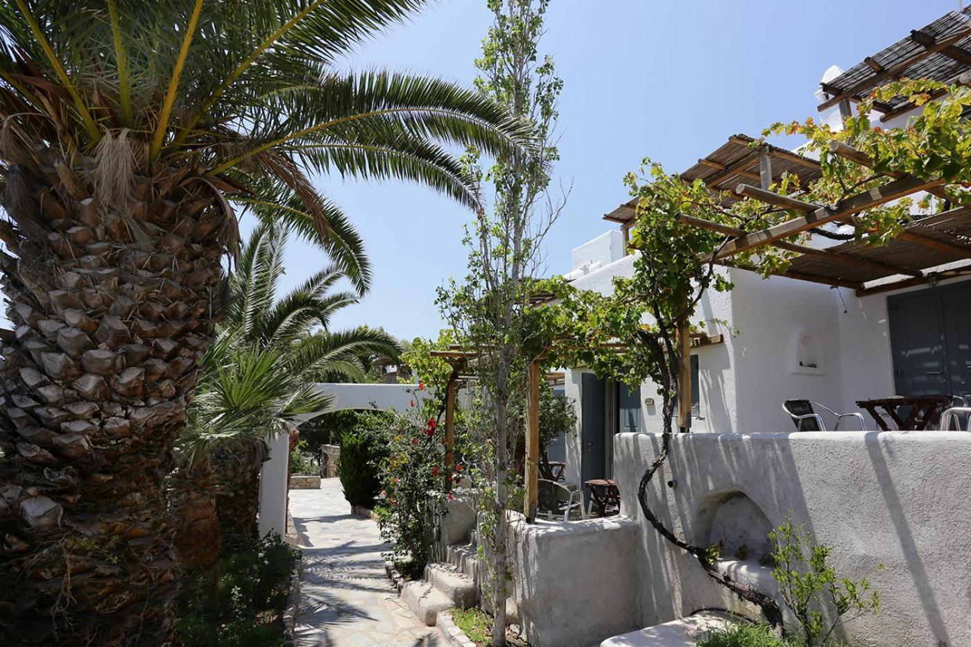 Albatros Club Mykonos Ξενοδοχείο Πάνορμος Μυκόνου Εξωτερικό φωτογραφία